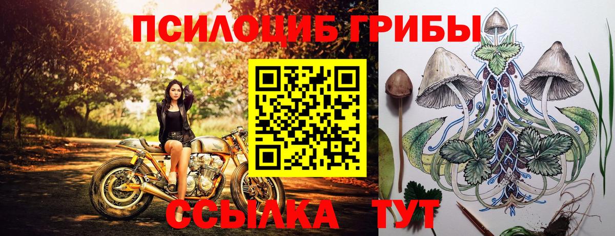 Галлюциногенные грибы Magic Shrooms Губкинский