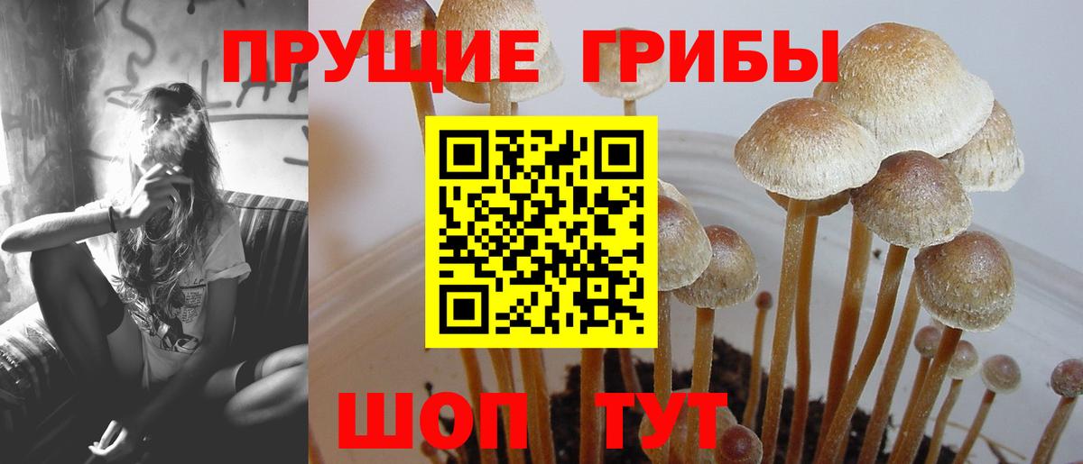 Галлюциногенные грибы мухоморы  Вход с VPN  Губкинский  Псилоцибиновые грибы Psilocybine cubensis 